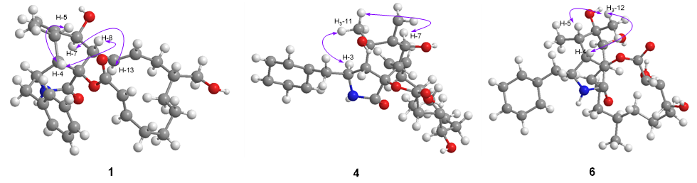 图 2 化合物1,4,6主要的ROESY相关信号